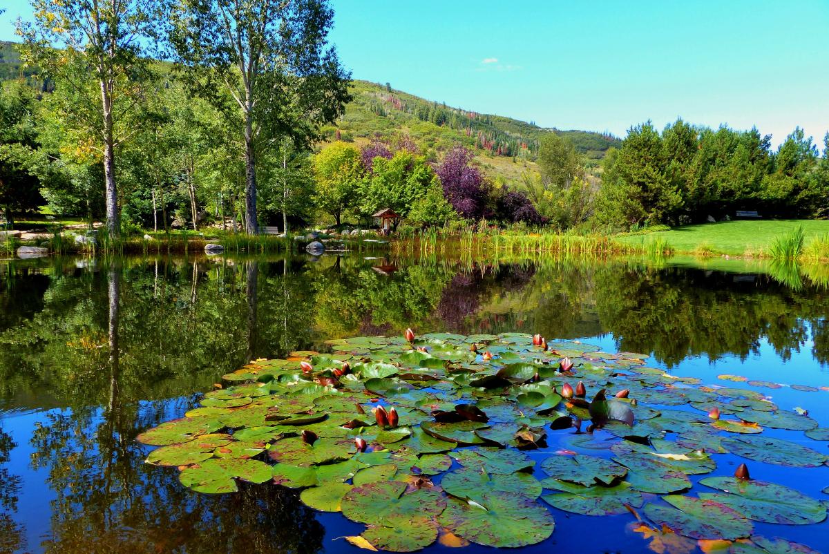 yampa botanical park